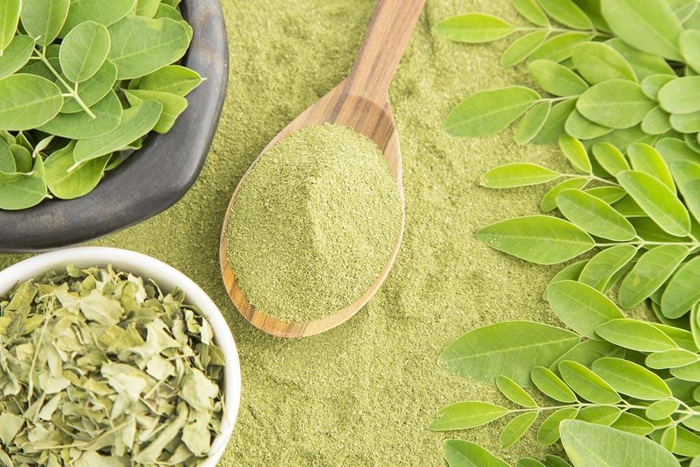 Moringa Leaf Powder Moringa high quality powder