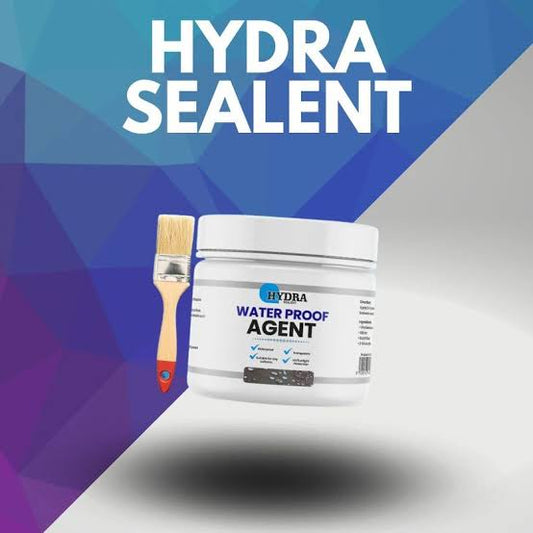 Hydra Waterproof Agent | Super Strong Invisible Waterproof Anti-leakage Agent | Instant Repair Waterproof Anti-leakage Agent - 300gm with brush